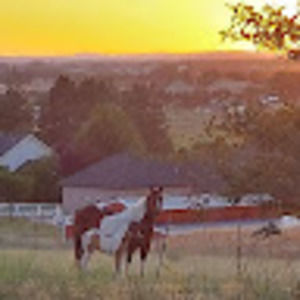 Meet your Posher, Gina